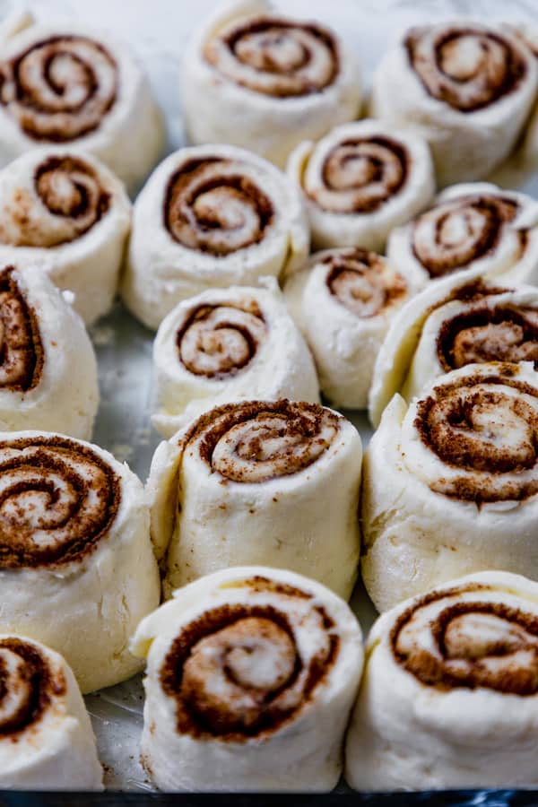 gluten free cinnamon rolls on a baking tray after rising. 