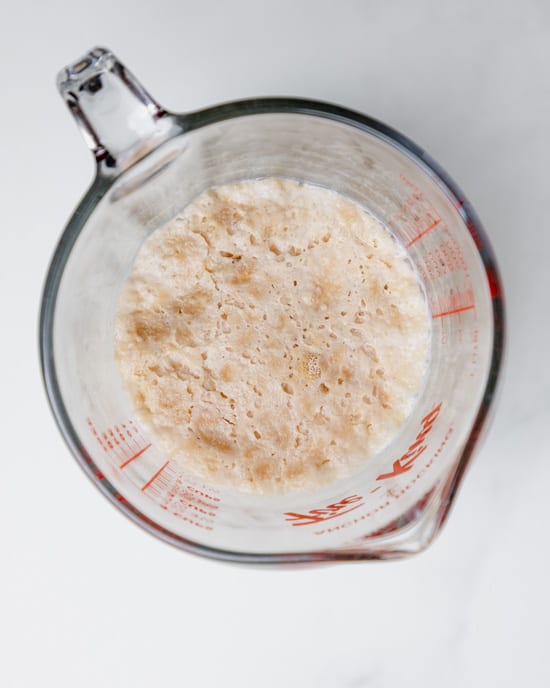 yeast mixture showing bubbles